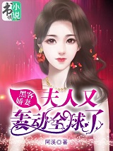 黑客娇妻：夫人又轰动全球了